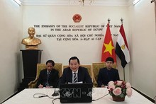 “胡志明主席——民族解放英雄、文化名人”的视频研讨会在埃及举行。