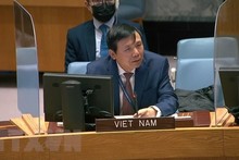 越南常驻联合国代表团团长邓廷贵大使。(图片来源:越通社)