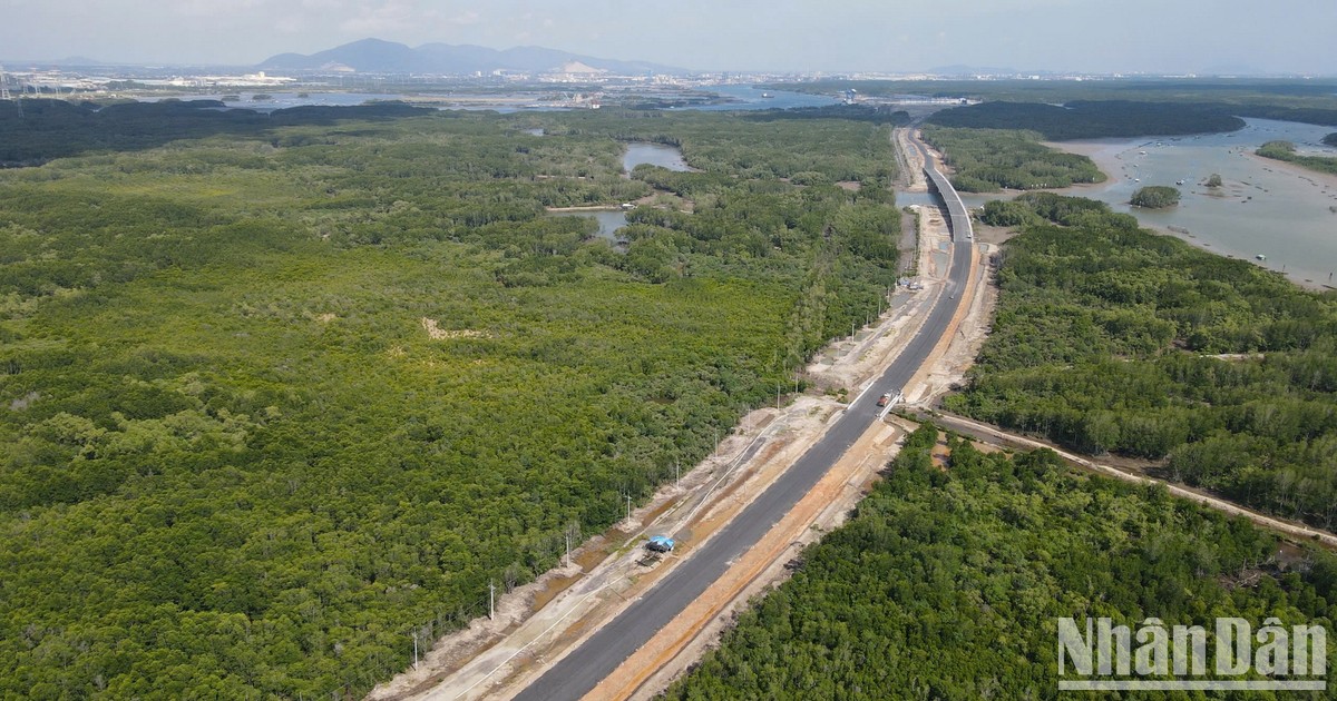 穿越红树林、连接同奈省最大海港的道路【组图】