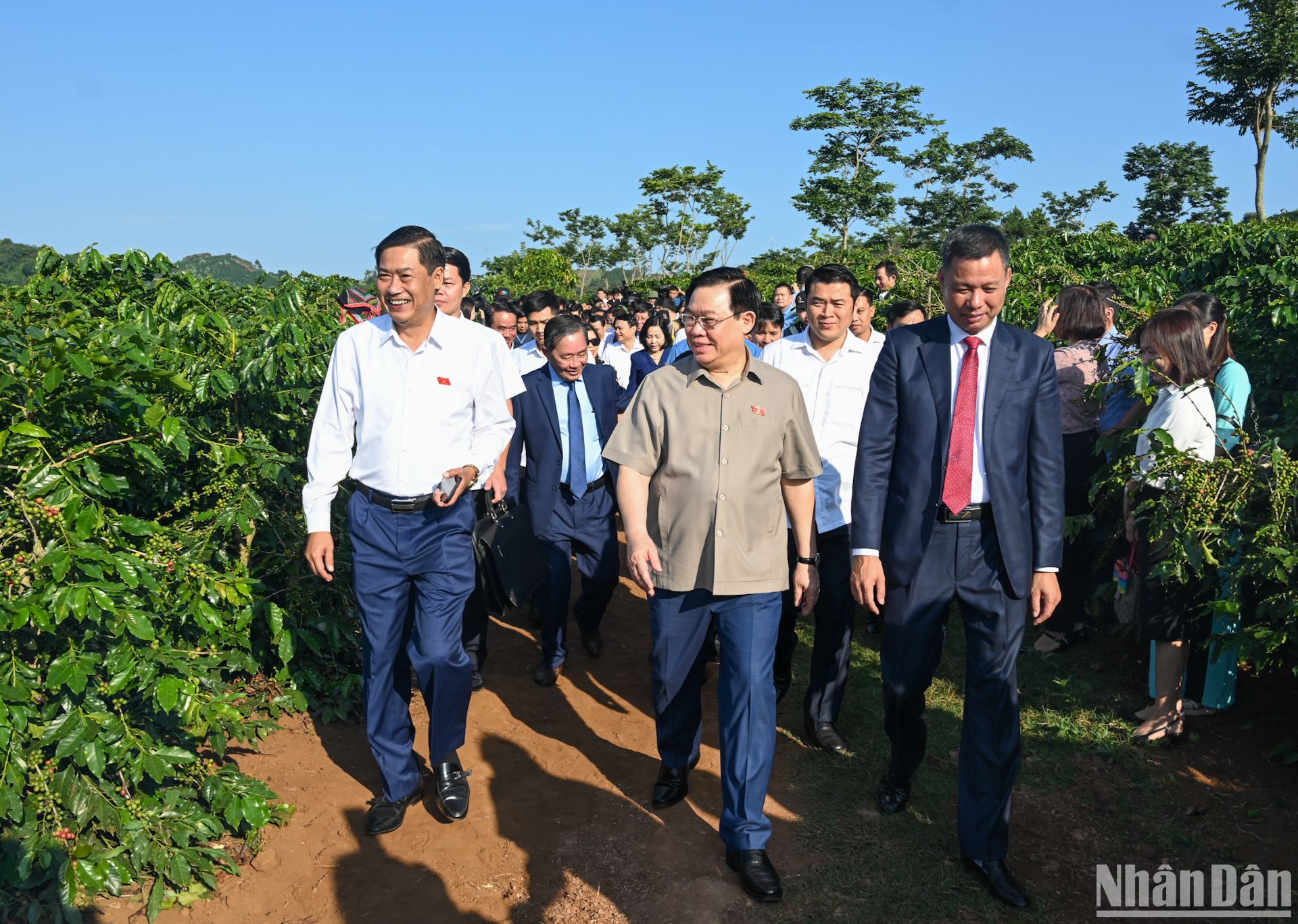 国会主席王廷惠一行实地考察山罗市华罗乡咖啡种植区。