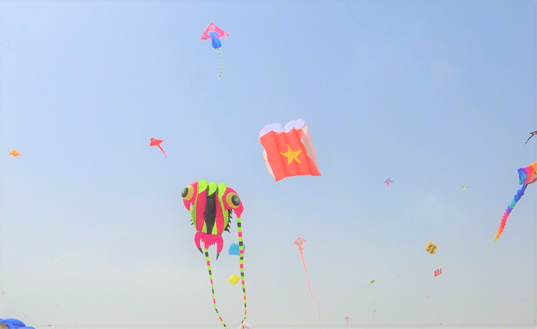越南风筝在本届国际风筝节上迎风飘扬。（阮胡君 摄）