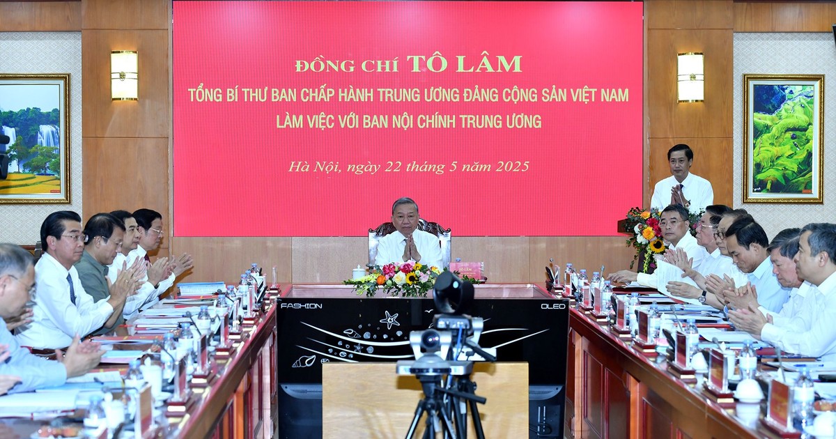 苏林总书记主持与中央内政部的工作会议。