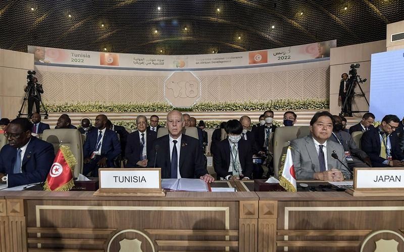 在突尼斯举行的第八届东京非洲发展国际会议。