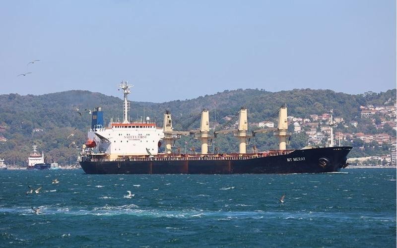 运送乌克兰粮食的船只停靠在土耳其港口。 （图片来源：路透社）