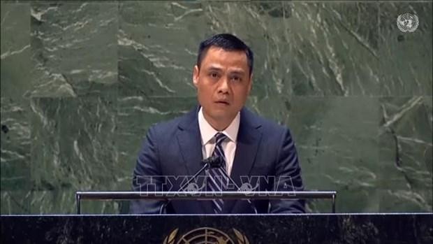 越南常驻联合国代表邓黄江大使。（图片来源：越通社）