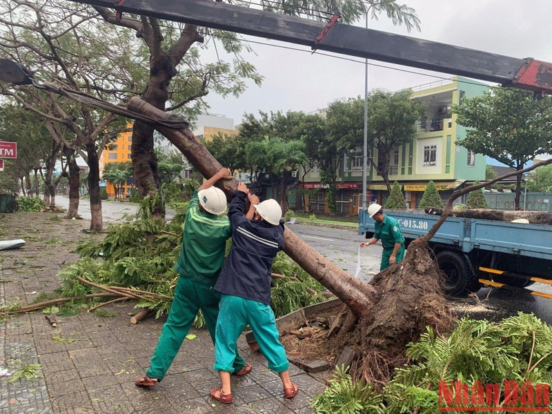 各地方正在紧急开展台风过后恢复重建工作。