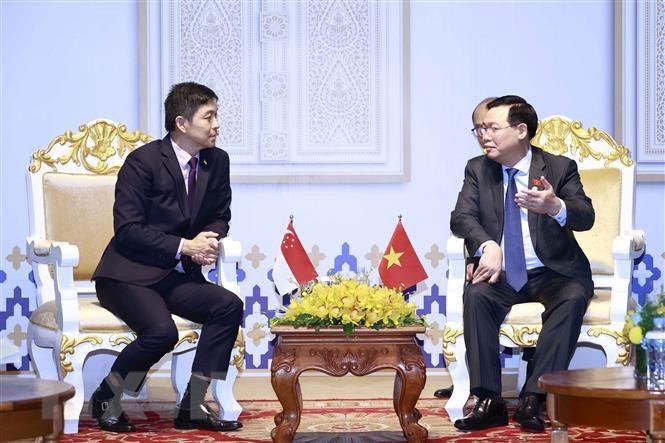 越南国会主席王廷惠在会见新加坡国会议长陈川仁。（图片来源：越通社）