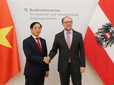 越南外交部长裴青山（左）与奥地利外交部长沙伦贝格。