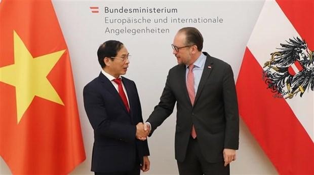 越南外交部部长裴青山与奥地利外交部长亚历山大·沙伦贝格。（图片来源：越通社）