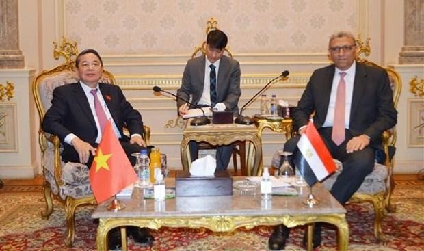 越南国会副主席阮德海和埃及众议院第一副议长艾哈迈德·萨阿德·埃尔丁·穆罕默德·阿卜杜勒·雷希姆。（图片来源：越通社）