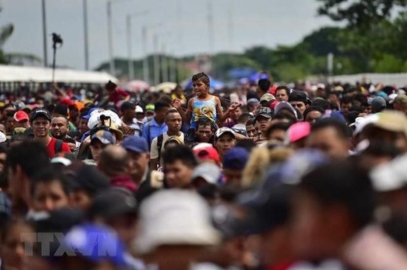 在危地马拉-墨西哥边境桥上前往美国的移民。（图片来源：法新社/越通社）