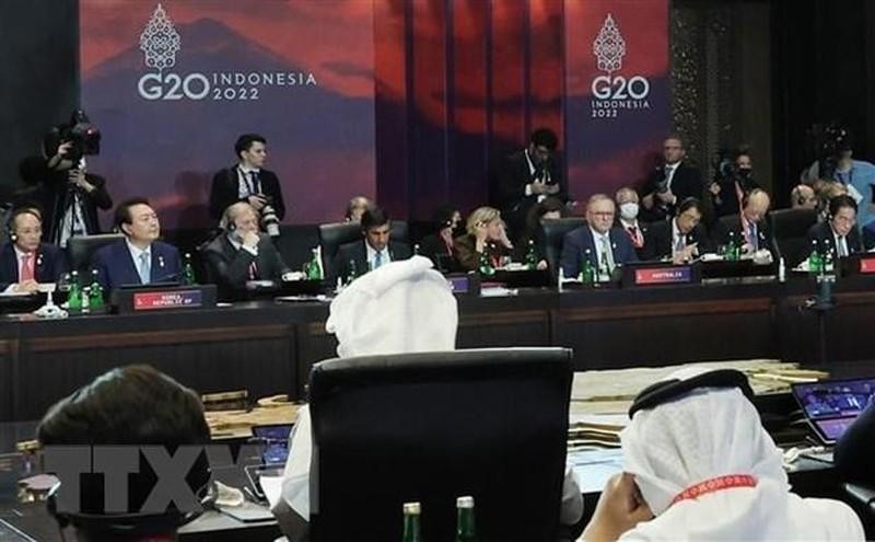 各国领导人出席11月15日在印尼巴厘岛举行的G20峰会。（图片来源：韩联社/越通社）