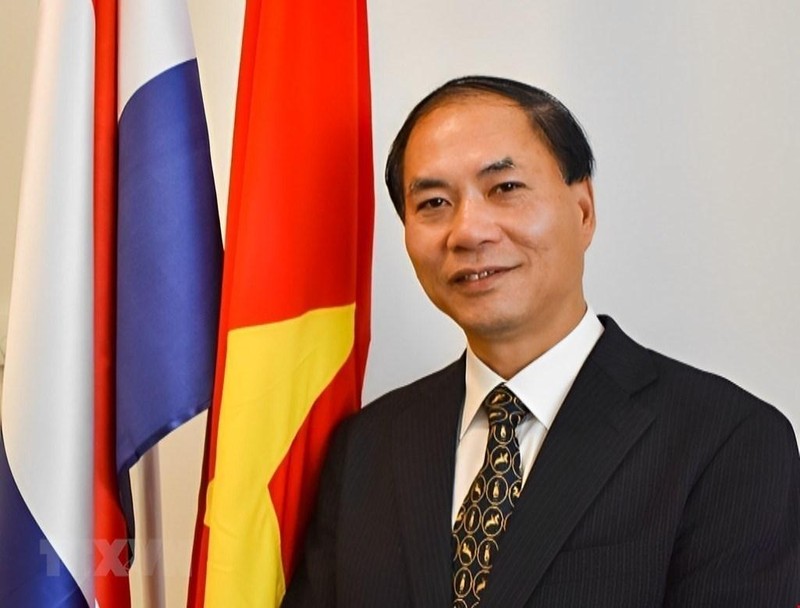 越南驻荷兰大使范越英。（图片来源：越通社）