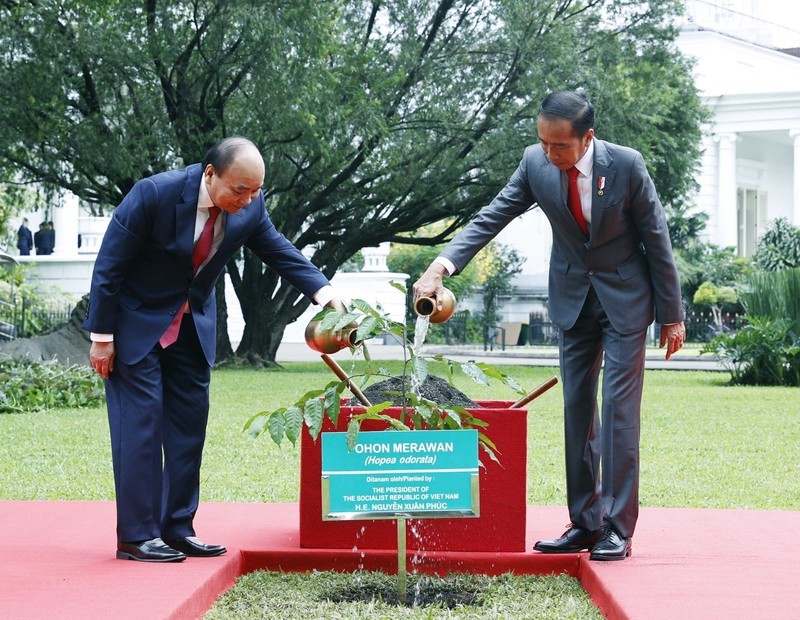 佐科·维多多总统和国家主席阮春福在总统府栽种香坡垒树。