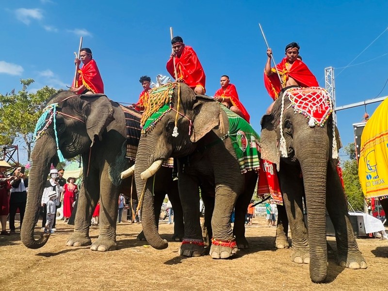 2023年班敦大象节开幕式。