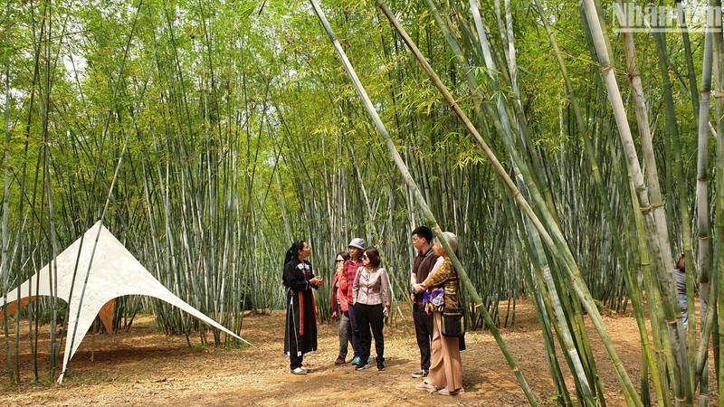 游客参观安世县春良乡沿村。