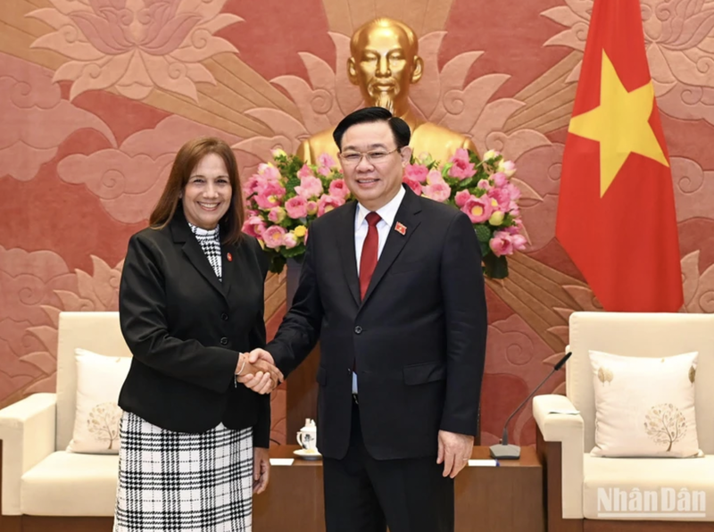 越南国会主席王廷惠会见古巴全国人民政权代表大会副主席安娜·玛丽亚·马里·马查多。