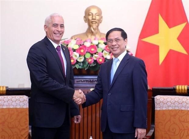 越南外交部长裴青山（右）和古巴外交部第一副部长杰拉尔多·佩纳尔弗。（图源：越通社）