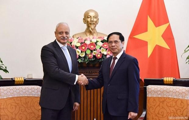 越南外交部长裴青山与埃及外交部长助理艾曼·艾莉·卡梅尔·艾莉。