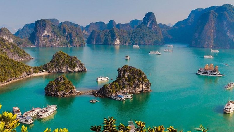 越南8项世界文化和自然遗产【图表新闻】