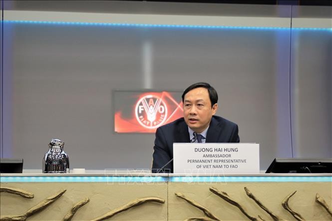 越南常驻世界粮食计划署代表杨海兴大使。（图片来源：越通社）