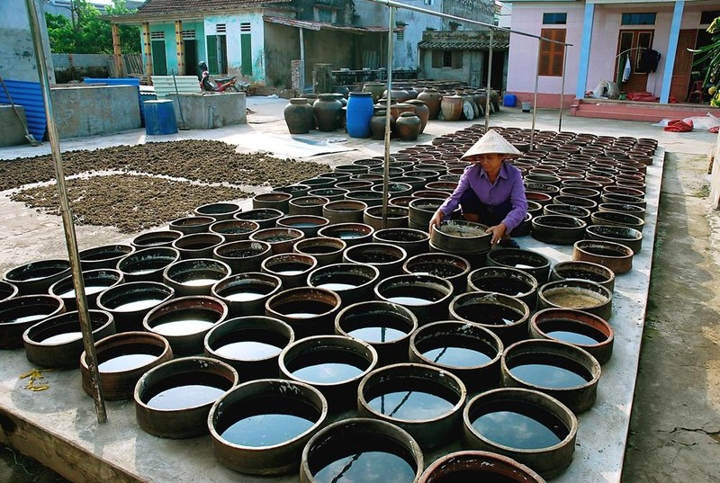 南定省胶水县胶州乡沙州村以传统鱼露制作业而闻名遐迩。