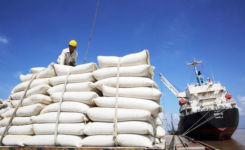 附图：今年越南预计出口700多万吨大米，出口总额达35亿美元。