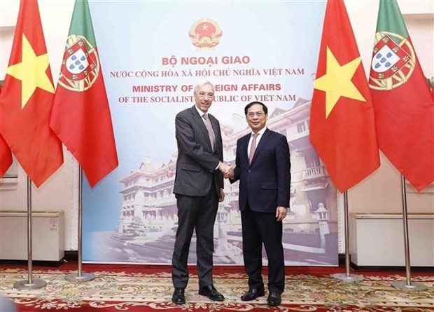 越南外交部长裴青山与葡萄牙外交部长若昂·戈麦斯·克拉维尼奥。