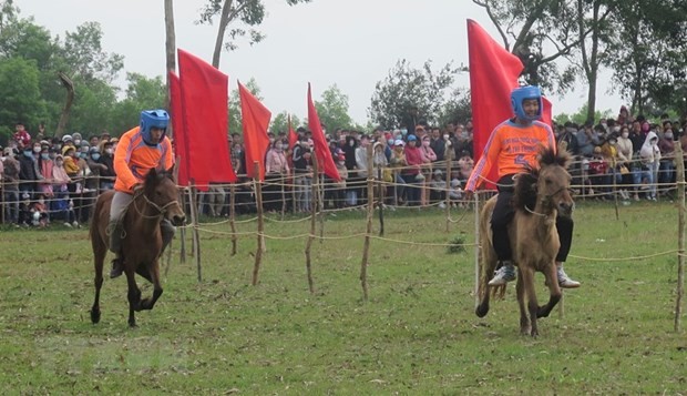 富安省市通邱传统赛马节热闹登场。