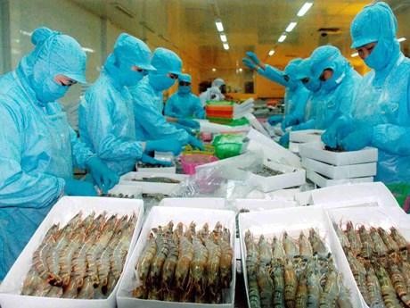 越南茶荣省努力提高海洋捕捞业经济效益