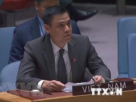 越南常驻联合国代表团团长邓黄江大使。