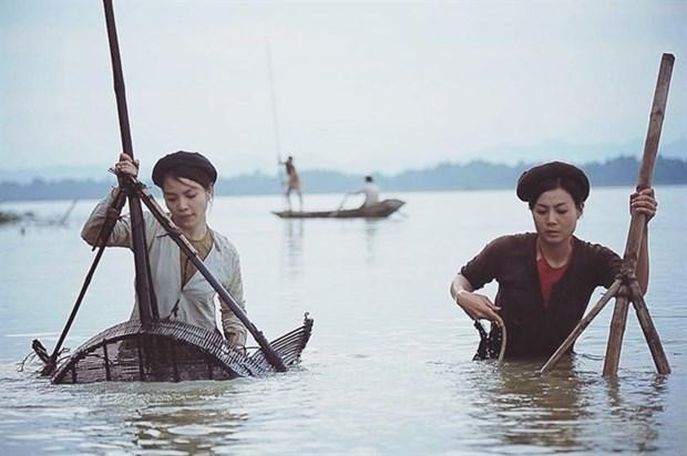 附图：《寡妇码头》取景地为越南北部平原一个典型乡村。