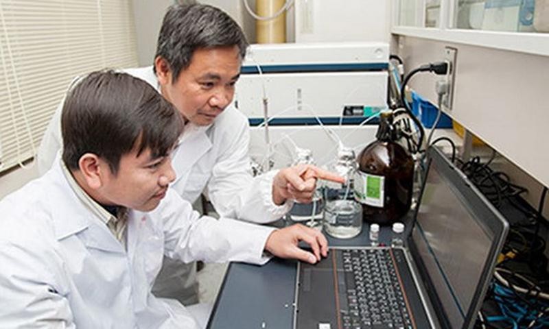 广岛大学教授陈登春博士（右）在实验室里。