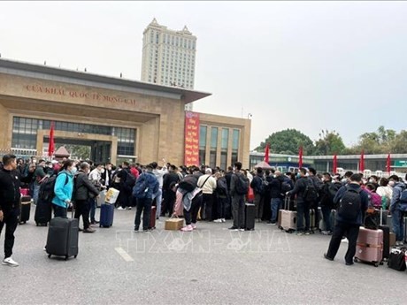 1月8日上午7时，数百名中国人已来到广宁省芒街国际口岸等候办理出境手续，回家过年。（图片来源：越通社）