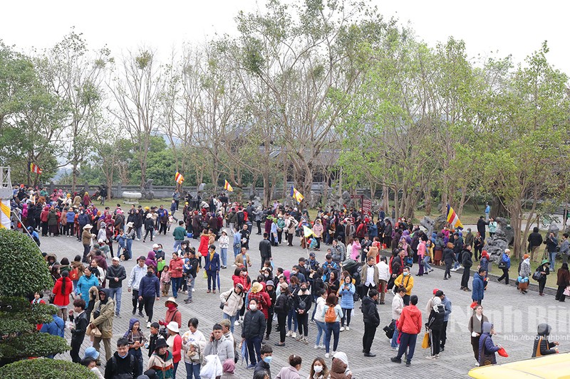与会代表以及众多游客和佛教信徒等一同出席宁平省沛顶寺举行开庙仪式。