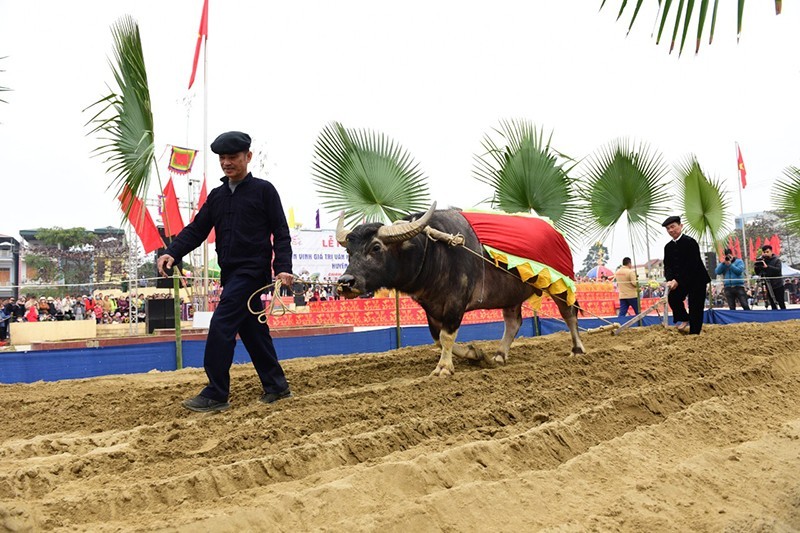 宣光省岱依族的隆东节热闹开场。