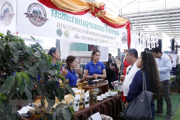 越南咖啡企业参加2023年老挝波罗芬高原咖啡、茶叶和其他农产品节。