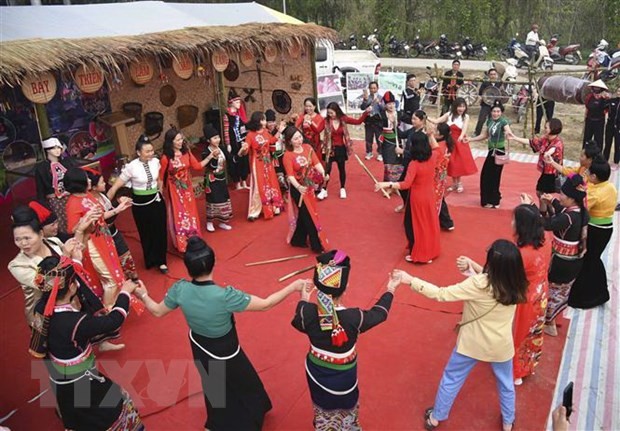 “精彩的羊蹄甲花节之夜”街头游行活动首次在奠边省举行。
