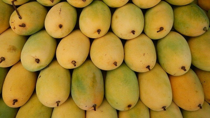 附图：越南是韩国第三大芒果供应市场。