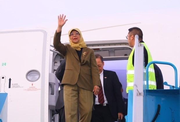 新加坡总统哈莉玛•雅各布10月16日下午开始对越南进行国事访问。（图片来源：越通社）