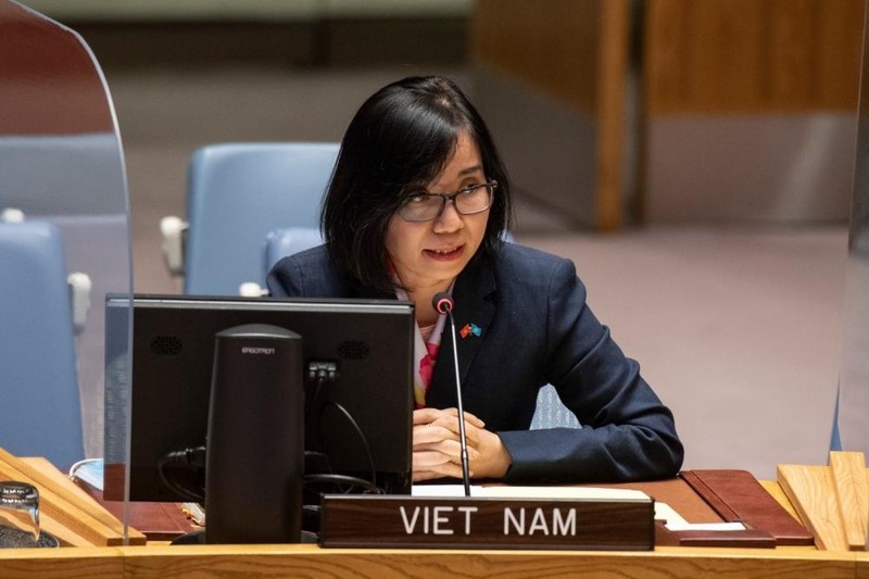 越南常驻联合国临时代办阮芳茶大使。