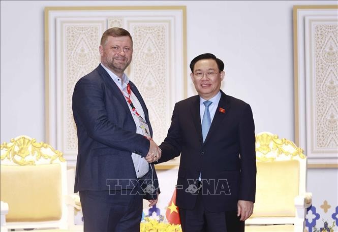 越南国会主席王廷惠会见乌克兰议会第一副议长奥列克桑德尔。（图片来源：越通社）