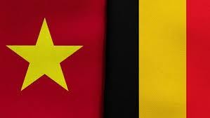 越南与比利时合作关系【图表新闻】