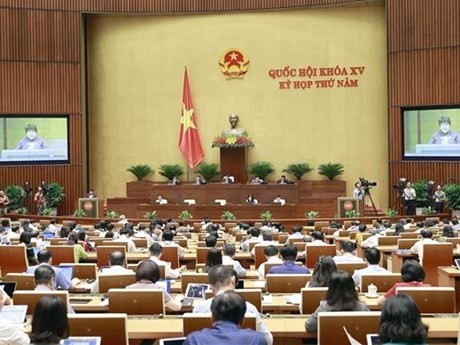 5月29日，国会在大会堂召开全体会议。