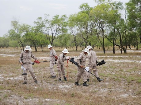炸弹地雷项目管理、考察与扫排工作。