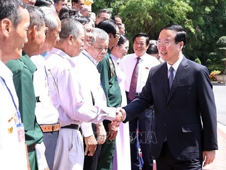 国家主席武文赏会见永隆省有功者代表团。