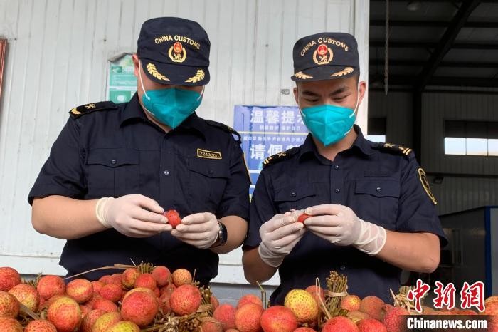 中国海关关员查验进口荔枝。（图源：中新网）
