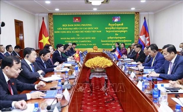 越南国会主席王廷惠与柬埔寨王国国会主席韩桑林举行会谈。（图片来源：越通社）