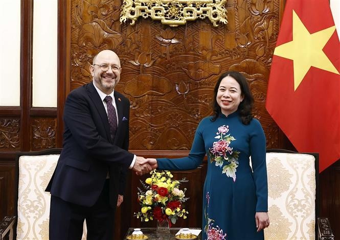 越南国家代主席武氏映春在会见瑞士新任驻越南大使。（图片来源：越通社）
