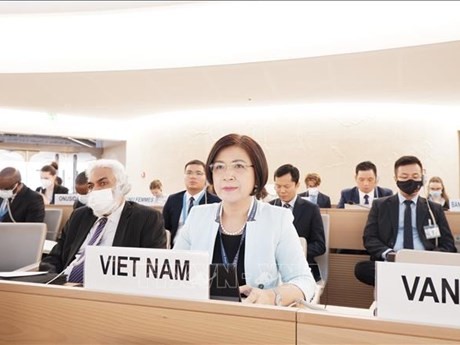 黎氏雪梅大使：越南继续促进各项倡议提高联合国人权理事会的运行质效